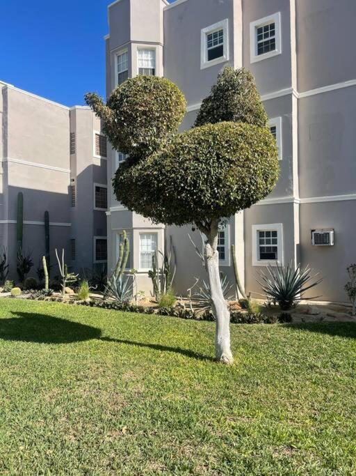 Departamento En 1Er Piso 2 Bdr 2Bath Tezal Apartment Cabo San Lucas Exterior photo